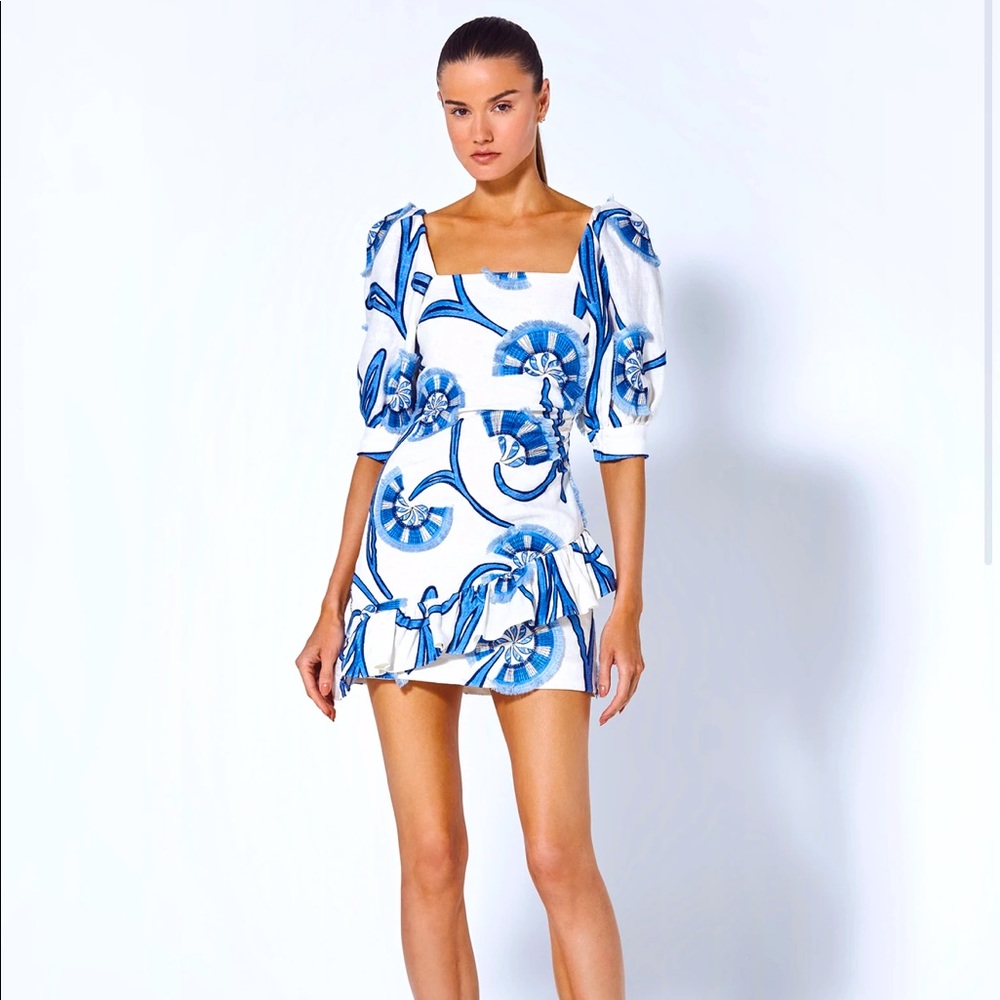 WORN ONCE! Beautiful light weight San Paolo dress by ALEXIS